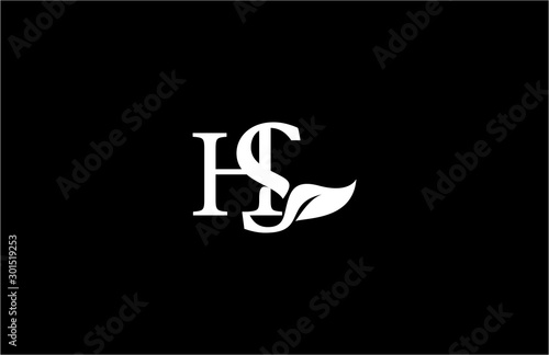 HS letter linked luxury flourishes ornate logotype