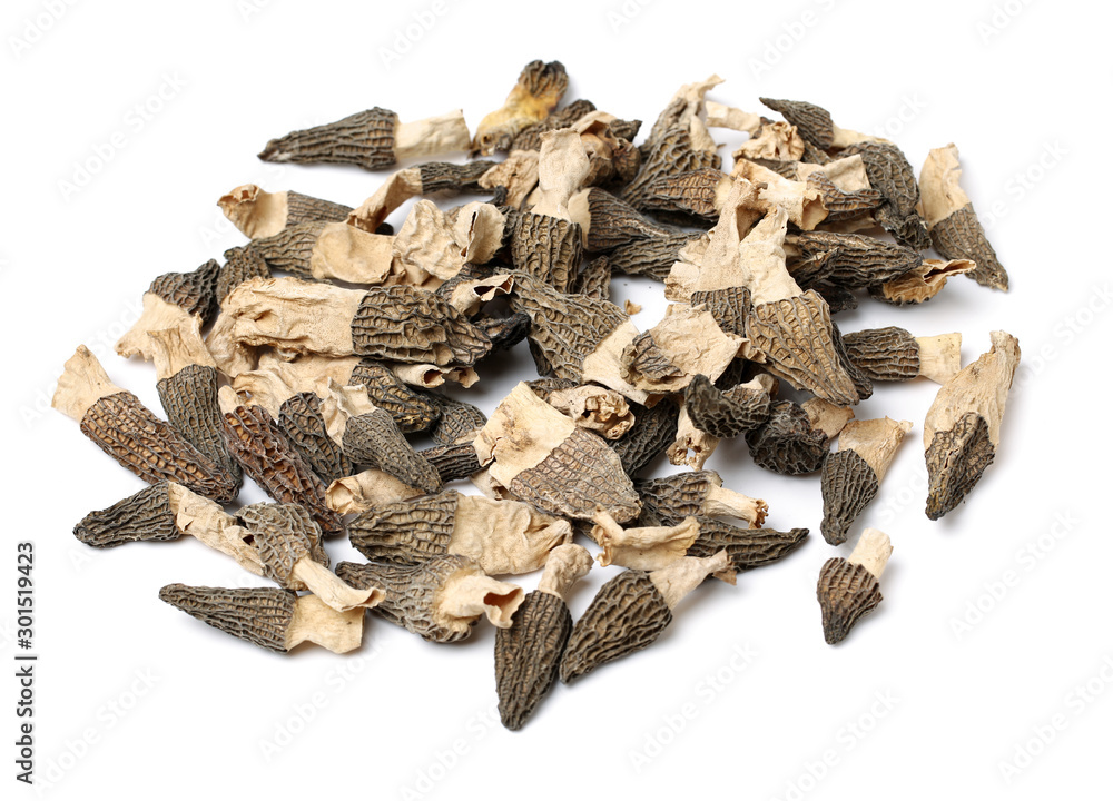 Morel mushrooms on white background Morel mushrooms on white background