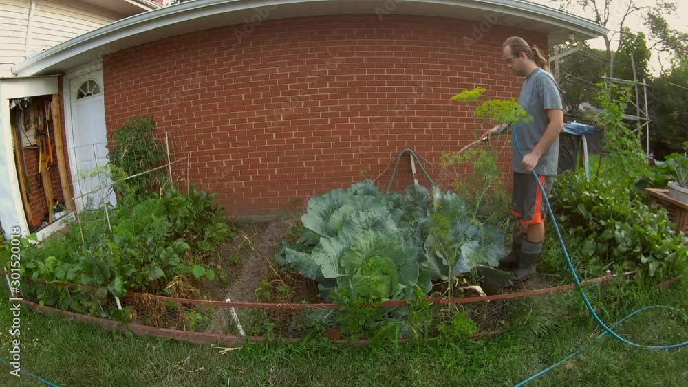 Home garden Man in glasses and ponytail wearing shorts and boots