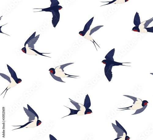 Pattern of flying swallows white background. Many birds in different positions vector seamless background.