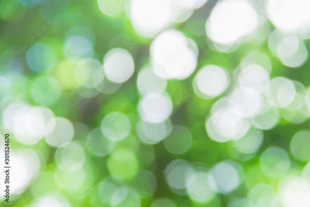 Bokeh sparkle glitter abstract white patterns in Natural garden background Bokeh sparkle glitter abstract white patterns in Natural garden background