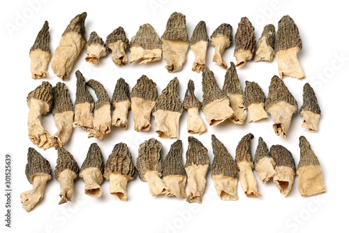 morel mushrooms on white background © zcy