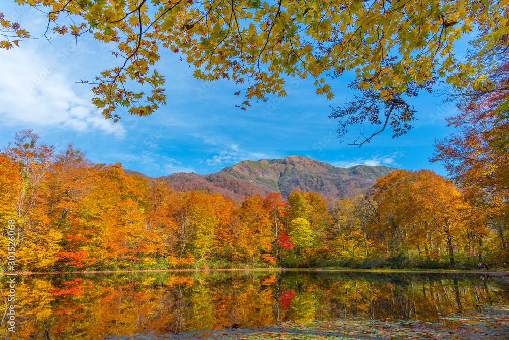 Karikomichi autumn leaves fukui prefecture japan