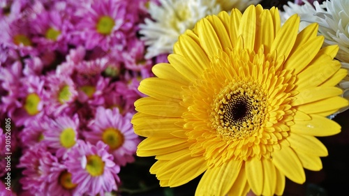 bouquet of flowers