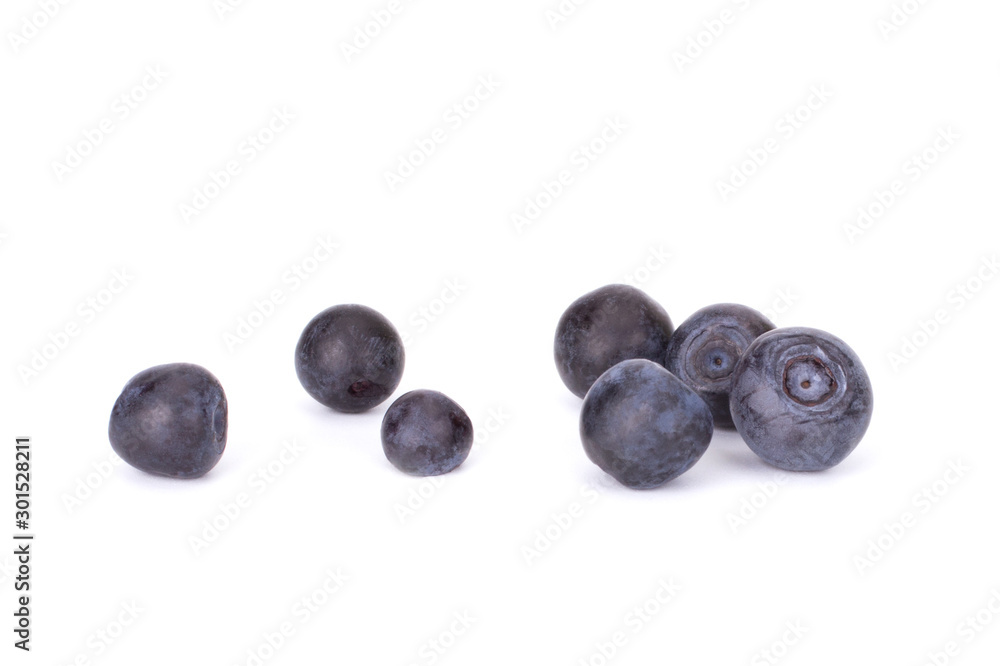 Fresh blueberry from forest isolated on white background Fresh blueberry from forest isolated on white background