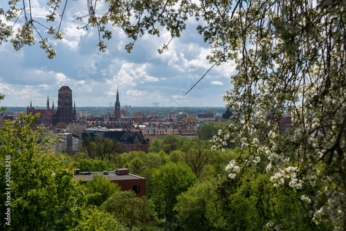 Obraz na płótnie Panoramic view from Gradowa Gora on old town in Gdansk with cathedral on center. w salonie