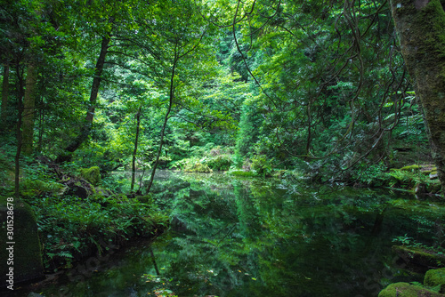 Hidden Beautiful nature spot  Ishikawa  Japan