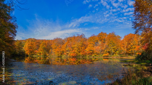 Panorama Karikomichi autumn leaves fukui prefecture japan