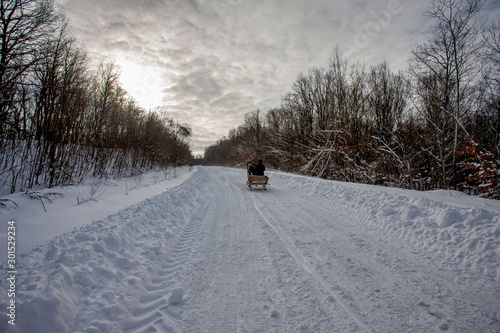 a horse harnessed to a sled run on the winter road