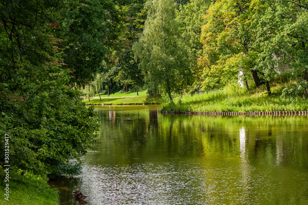 Beautiful landscape: trees, grass and river Beautiful landscape: trees, grass and river