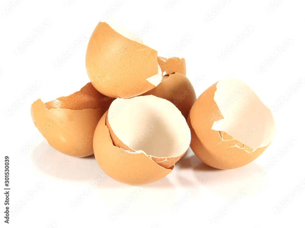 egg shells isolated on white background. egg shells isolated on white background.