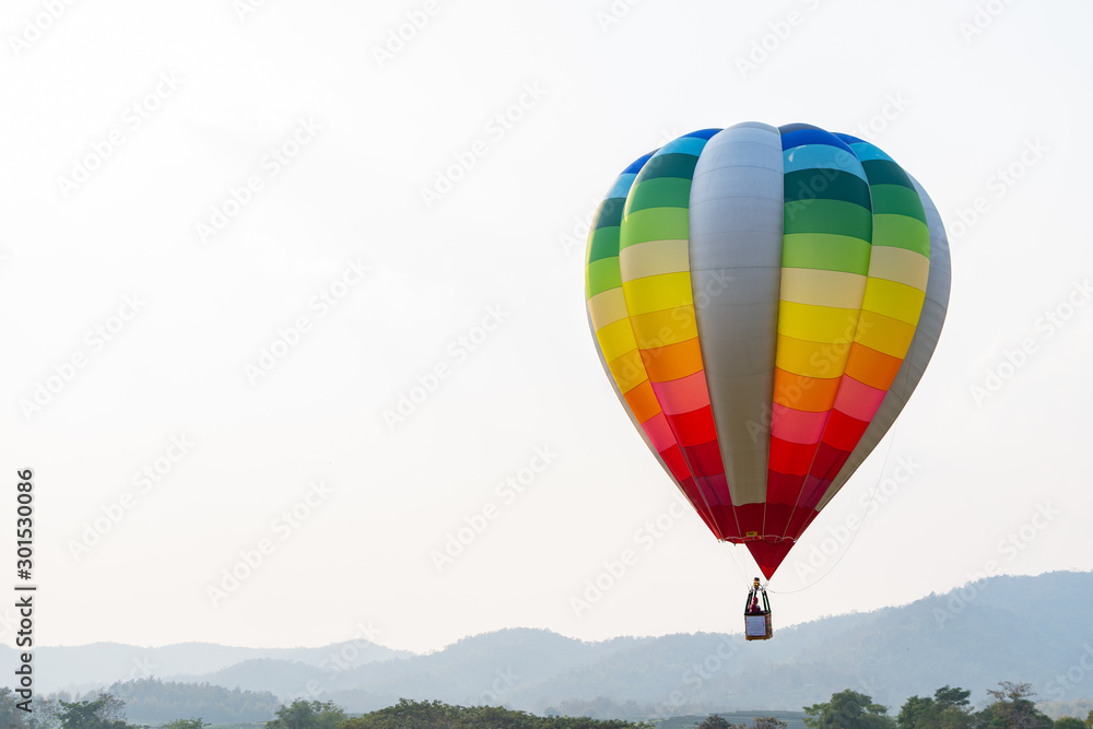 Fototapeta premium Colorful balloon in the country garden