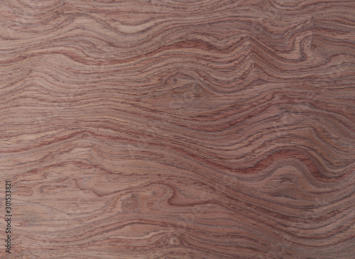 VENEER burls wood Pattern brown wooden material finish surface furniture burr texture wall background