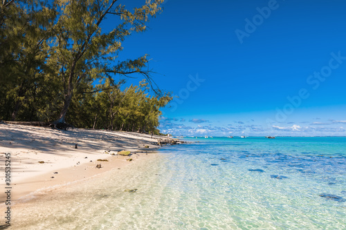 Tropical scenery with beautiful beach  trees  transparent ocean and sky of Mauritius