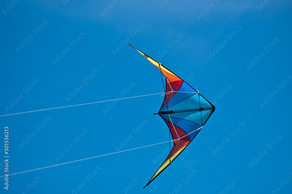 Kite in the summer sky Kite in the summer sky