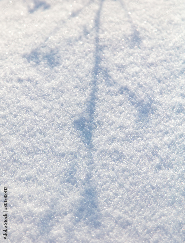 The shadow of the trees in the snow The shadow of the trees in the snow