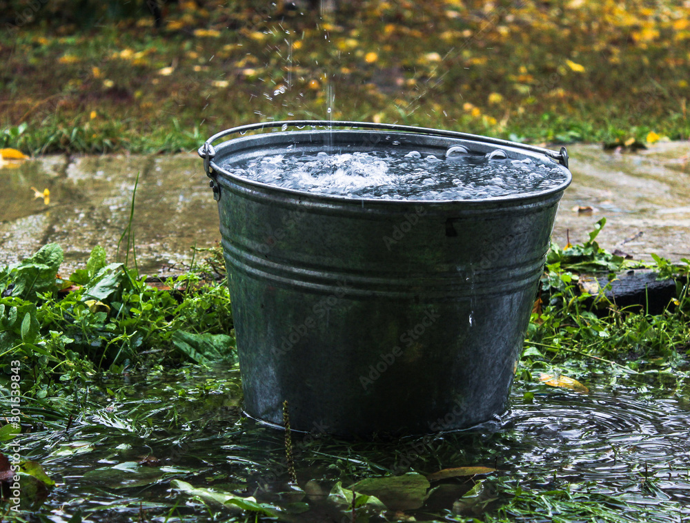 bucket of water. Water dripping from the roof. rain bucket of water. Water dripping from the roof. rain