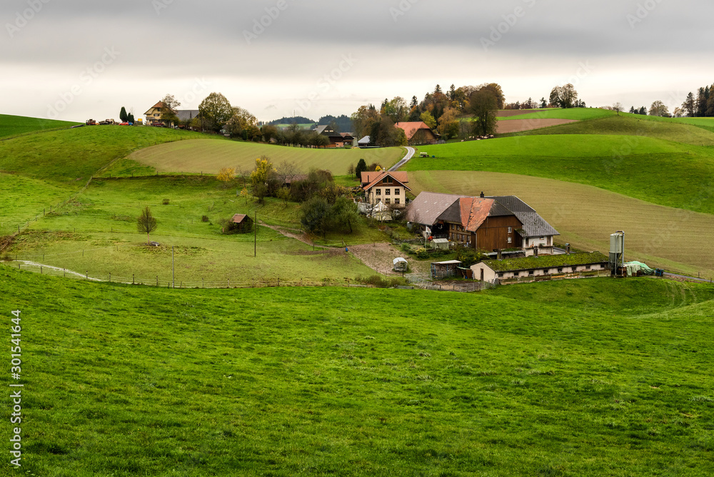 Obraz premium Rural landscape in Emmental valley in Switzerland with grazing fields and a farm