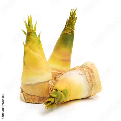 Bamboo shoot on the white background 