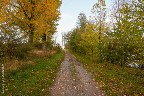 Rhein Landschaft Herbst