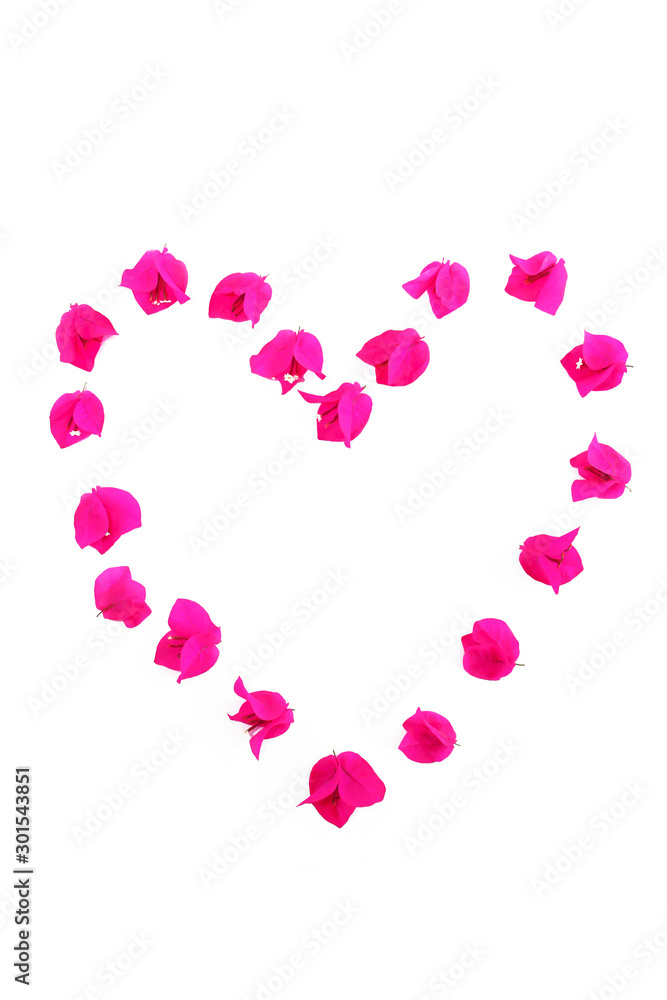 festive drawing heart made from natural fresh pink bougainvillea flowers