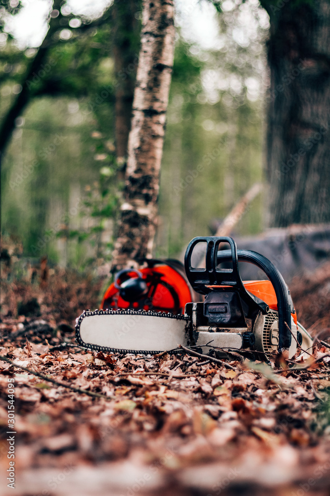 Naklejka premium chainsaw and helmet in the forest, deforestation for logging
