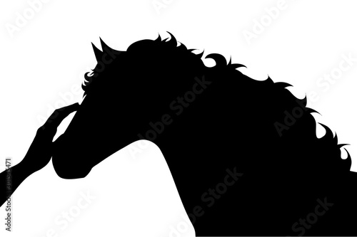 Vector silhouette of person who fondle his horse on white background. Symbol of animal, pet, care, love, save, vet, veterinary, farm.