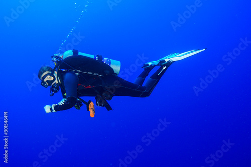 Fototapeta Naklejka Na Ścianę i Meble -  Diving the Red Sea Egypt