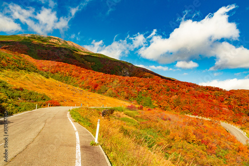 鳥海山の紅葉