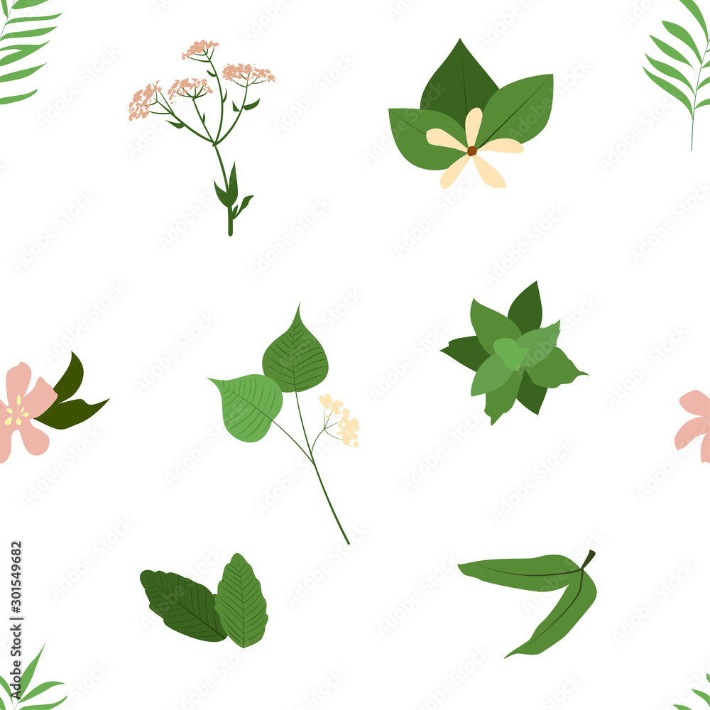 Natural medicine and aromatherapy. Eco, ecological. Vector pattern with flowers and plant on a white background.