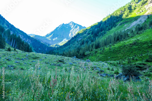 A panoramic view on Schladming Alps, partially still covered with snow. Spring slowly reaching the tallest parts of the mountains. Sharp peaks, slopes overgrown with lush green plants.