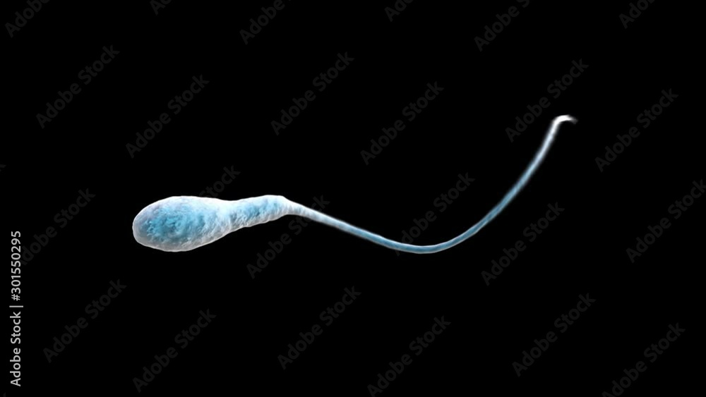 Sperm Single Spinning at various speeds Sperm Single Spinning at various speeds