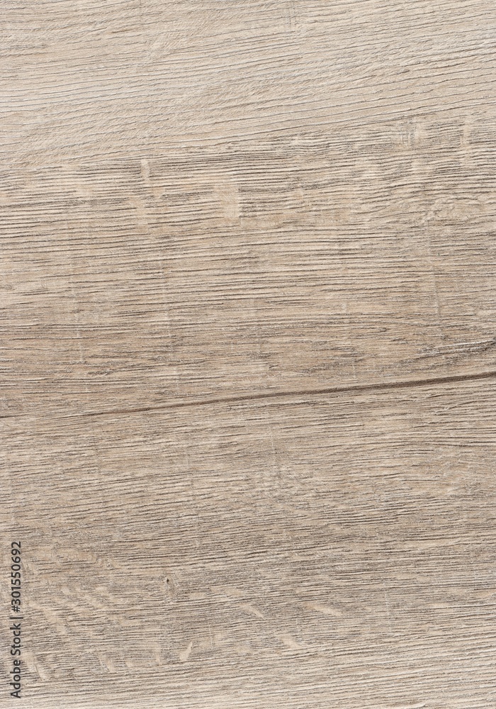 Fototapeta premium A Regular wood texture with vertical and horizontal lines. Subtle grey wooden background for natural banner. Timber surface closeup. Natural material for banner template.