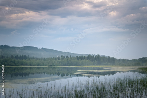 Landscape of river scenery green forest and sunlight on cloudy day Sweden