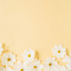 Minimal styled concept. White daisy chamomile flowers on pale yellow background. Creative lifestyle, summer, spring concept. Copy space, flat lay, top view.