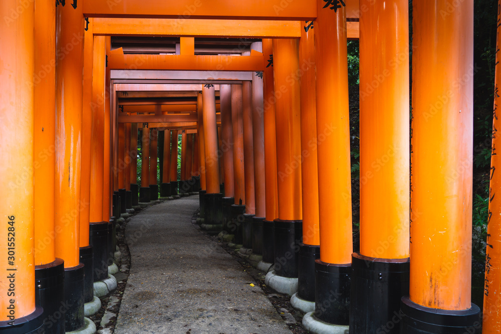 Red Torii gates in Fushimi Inari shrine in Kyoto, Japan Red Torii gates in Fushimi Inari shrine in Kyoto, Japan
