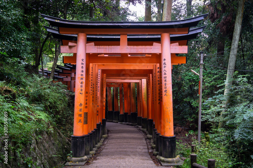 Red Torii gates in Fushimi Inari shrine in Kyoto  Japan