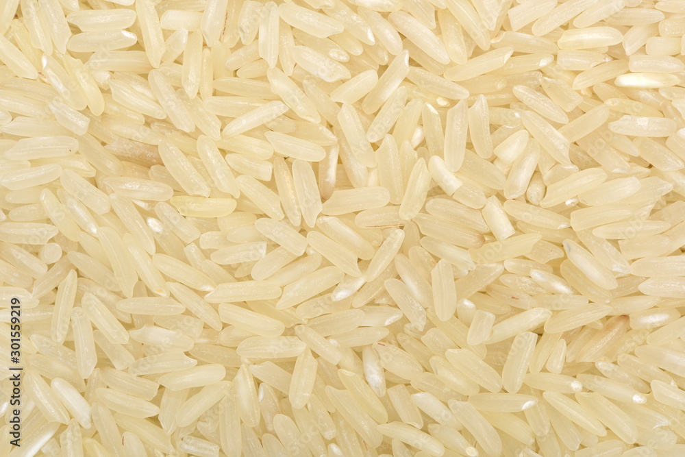 close up shot of the rice background close up shot of the rice background