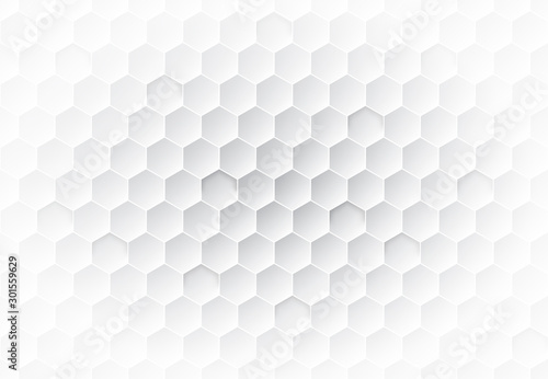 Honeycomb grey background. Vector illustration for card or poster © Anastasia Gapeeva