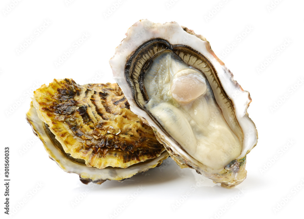 Fresh opened oyster on white background