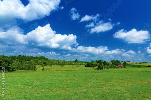 北海道・美瑛町 夏の美瑛の丘 2