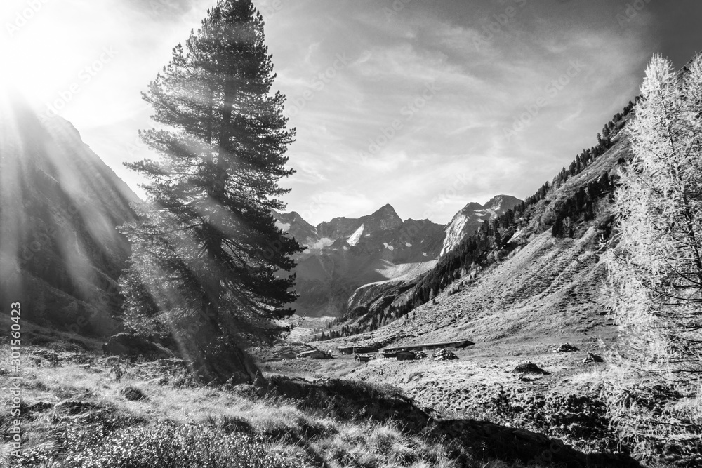 Obraz premium Herbstlicht in einer Berglandschaft im Zillertal in schwarz weiß