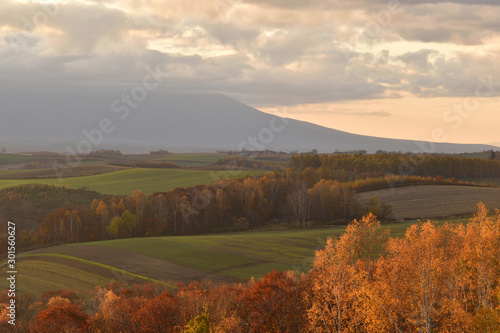 美瑛　朝焼けの丘