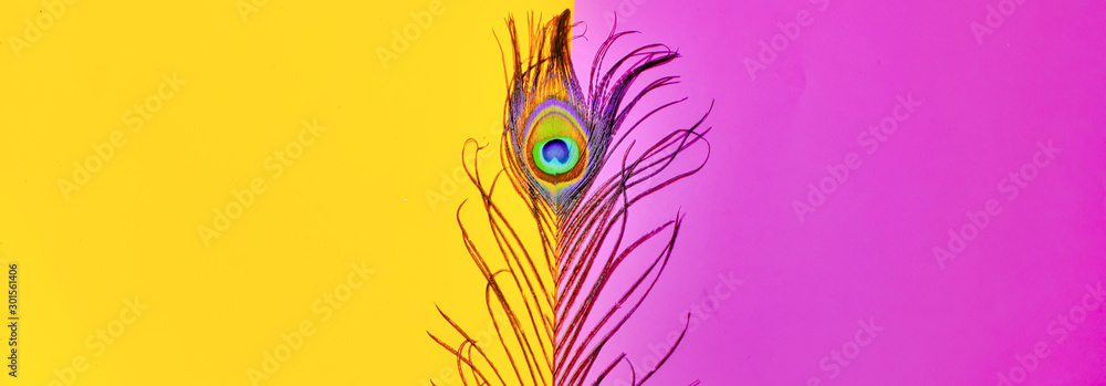 peacock feathers on pink background,peacocks  tail on yellow background, text space ,written text space - obrazy, fototapety, plakaty 