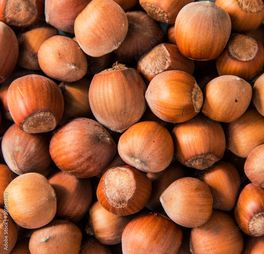 Hazelnut background, top view of fresh hazelnuts, autumn harvest Hazelnut background, top view of fresh hazelnuts, autumn harvest