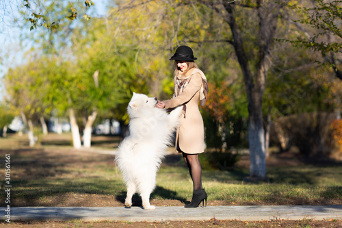 The dog stands on its hind legs in front of the mistress. Girl hugs her beloved white dog while walking.