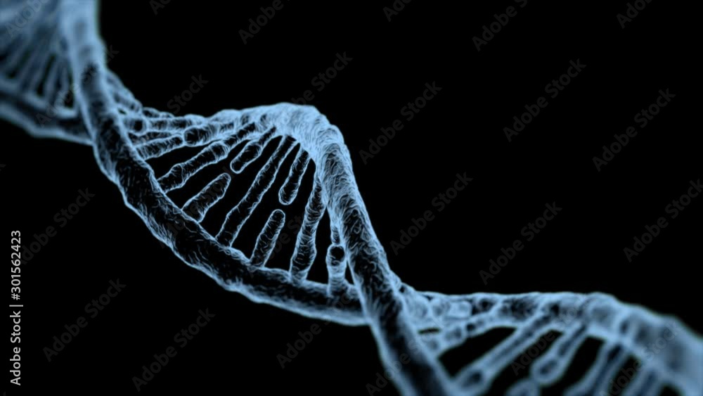 DNA double Helix rotating