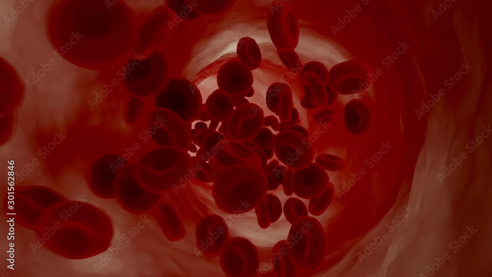 Blood Cells traveling along a vein