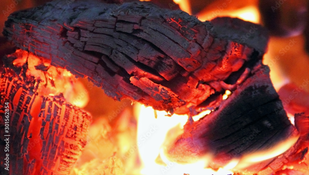 The fire with burning wood embers - obrazy, fototapety, plakaty 