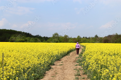 Woman in a lilac jacket walks on the road through a yellow rapeseed field